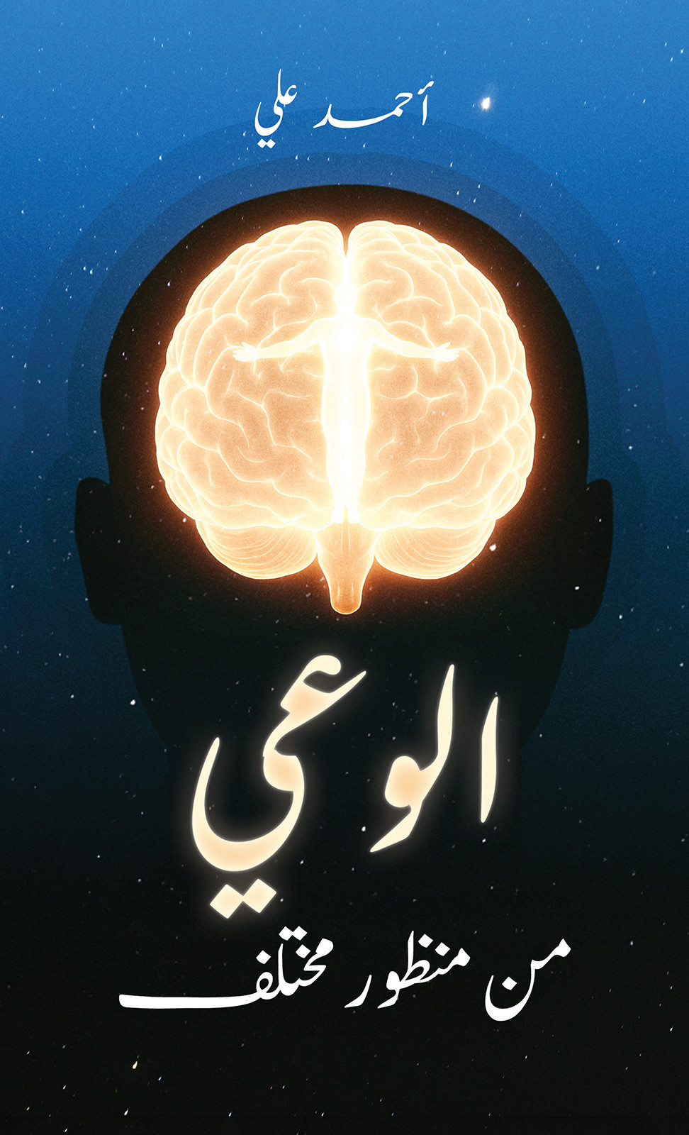 Awareness From A Different Perspective-bookcover
