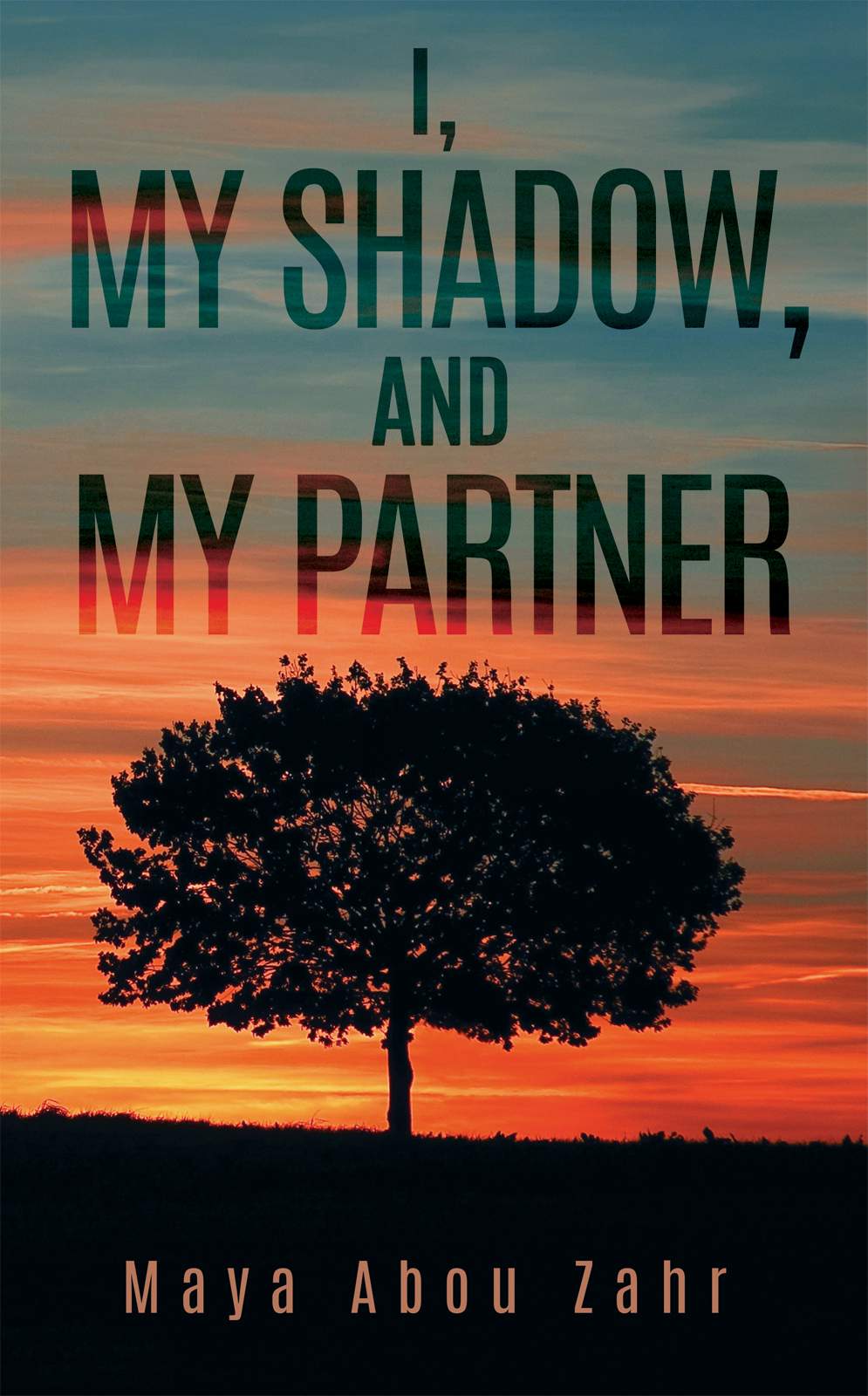 I, My Shadow, and My Partner